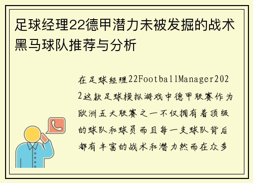 足球经理22德甲潜力未被发掘的战术黑马球队推荐与分析